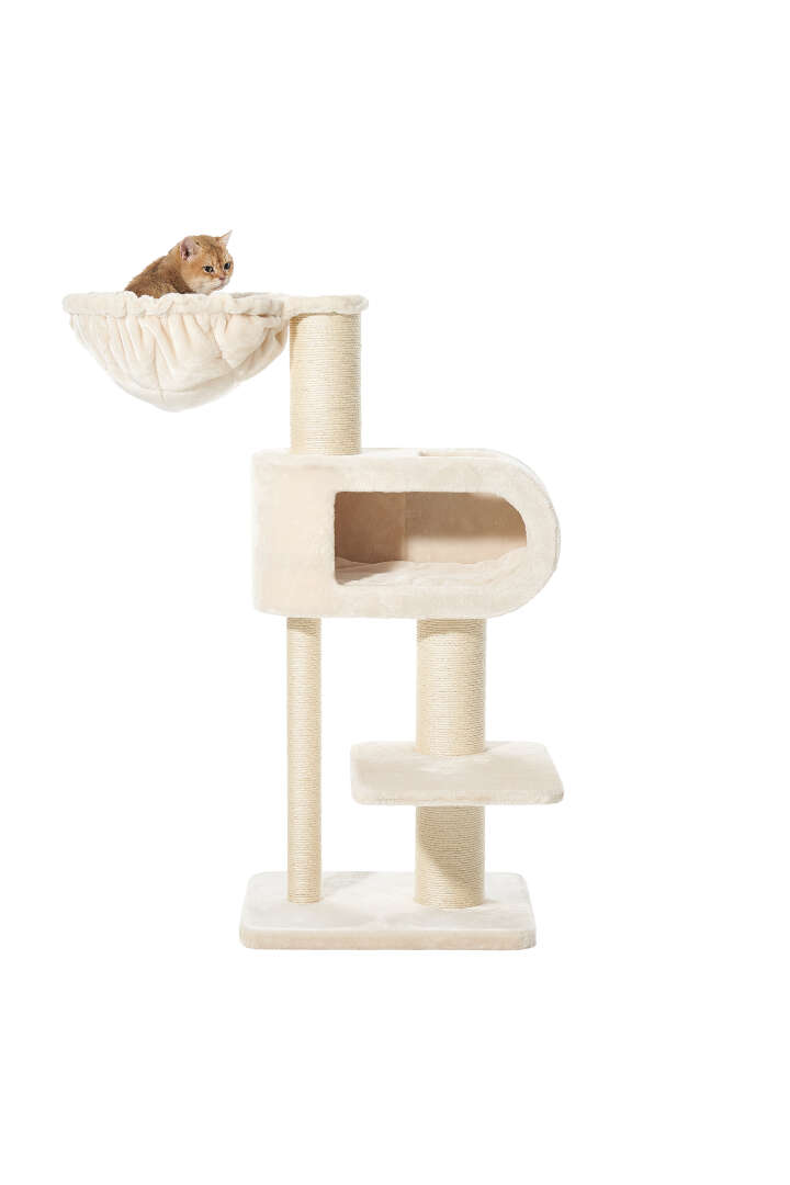 Nobby Kratzbaum Tove